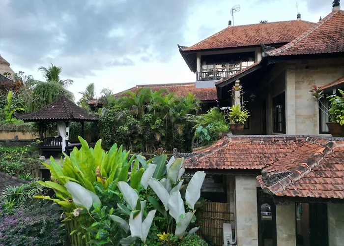 Rumah Kelinci