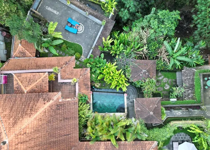 Rumah Kelinci Villa