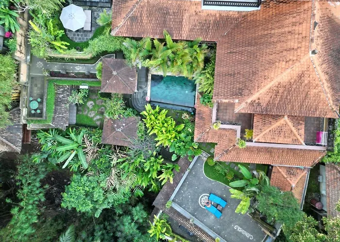 Villa Rumah Kelinci