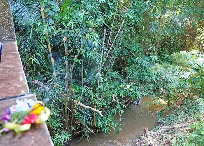 Villa Rumah Kelinci Ubud