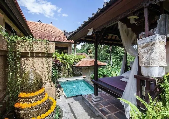 Rumah Kelinci *