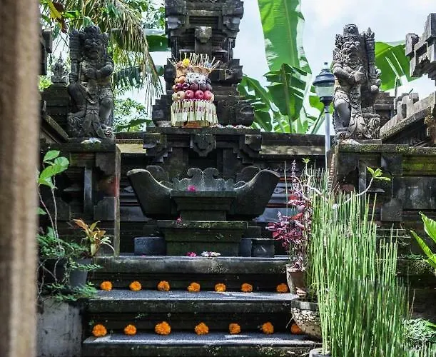 Villa Rumah Kelinci