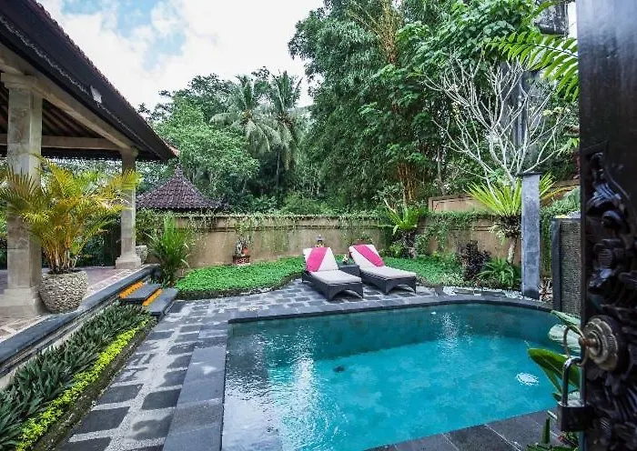 Rumah Kelinci
