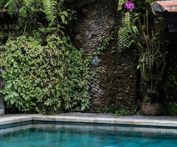 Rumah Kelinci Villa Ubud