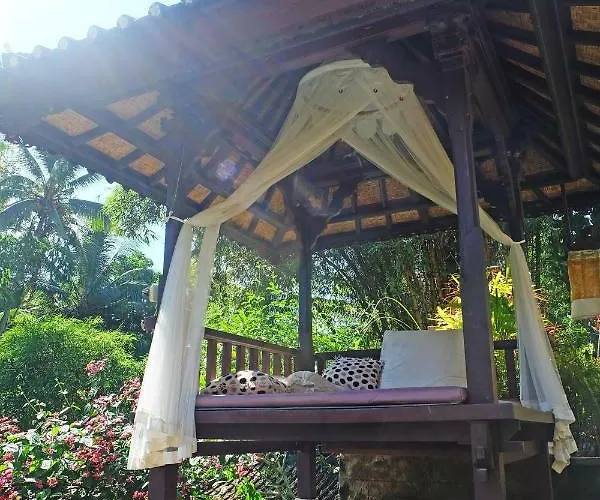 Rumah Kelinci