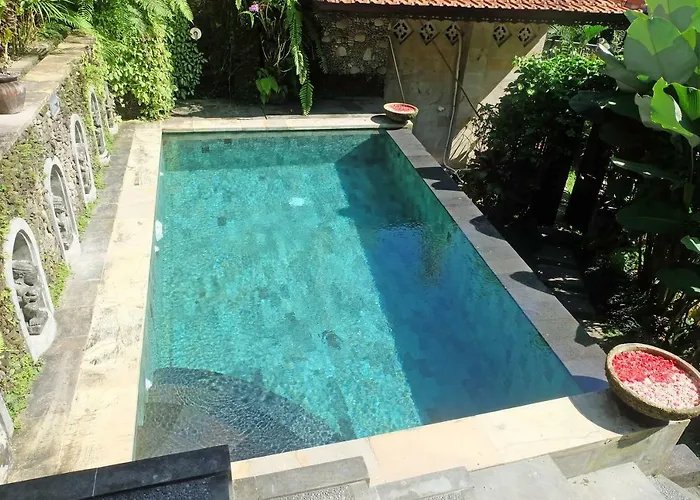 Rumah Kelinci *